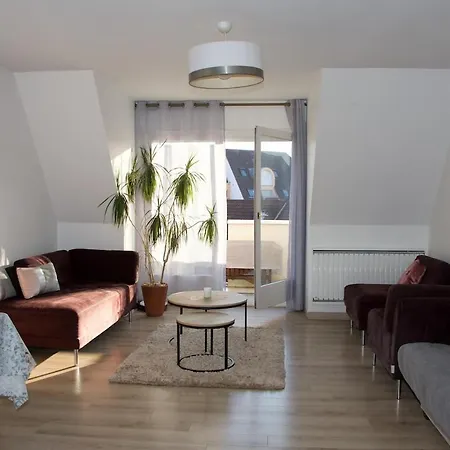 Apartment Grand Duplex Lumineux, Calme, A 10mn De Avec Balcon Et Garage Strasbourg