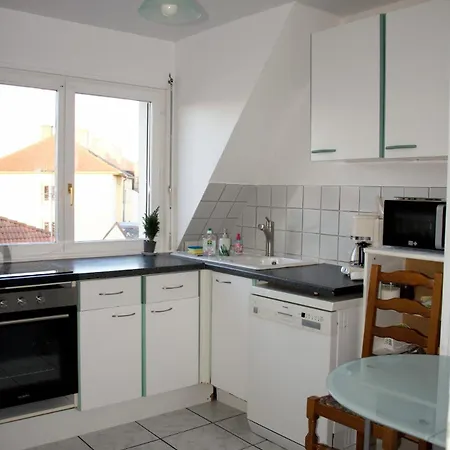 公寓 Superbe Duplex 10mn De Strasbourg, 9 Voyageurs, Balcon, Garage 斯特拉斯堡